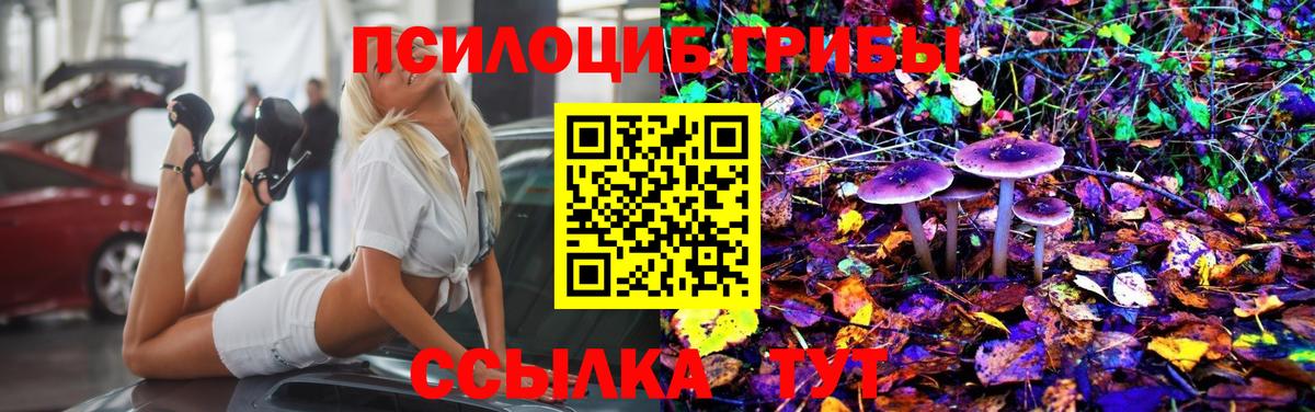 Галлюциногенные грибы GOLDEN TEACHER Ялта